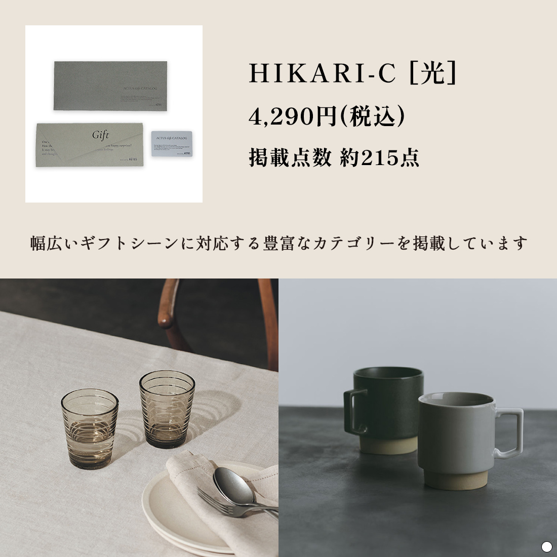 ACTUS(アクタス) e-order choice ＜HIKARI(光)-C＞