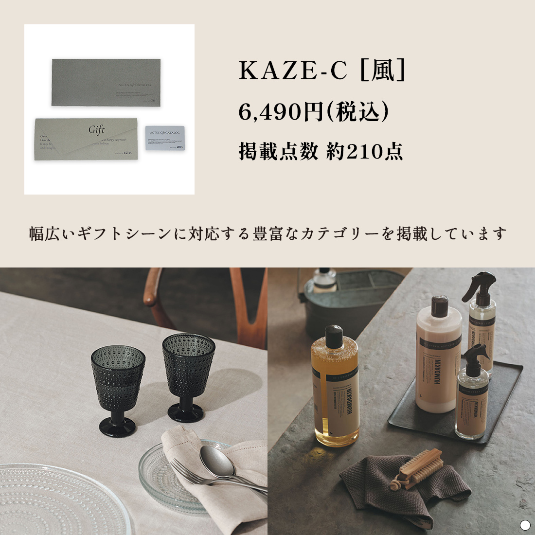 ACTUS(アクタス) e-order choice ＜KAZE(風)-C＞